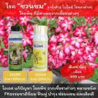 ราคา ชวนชมใบไหม้ โรคราน้ำค้างชวนชม ยารักษาโรคชวนชม โรคราต่างๆ ใช้ ไอเอส FKธรรมชาตินิยม (10190124891)