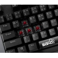 ราคา KB 718 KEYBOARD คีย์บอร์ด SIGNO INDIGO TKL MINI RGB FULL KEY มี 2 ปุ่ม BLUE RED SWITCH ประกัน 2 ปี ของแท้ ประกันศูนย์ (15212858331)