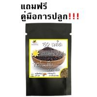 ราคา เมล็ดพันธุ์ ข้าวอินเดีย เมล็ดยาว สีดำ 150 เมล็ด Black indica Rice Seeds เมล็ดพันธุ์แท้100 เมล็ดนำเข้า เมล็ดข้าว ข้าว (9915381055)