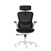 Ergopixel Ergonomic Chair เก้าอี้เพื่อสุขภาพ รุ่น Virtuoso Solida
