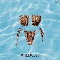 ราคา Basix bandeau bikini บิกินี่เกาะอก กางเกงสายฝ (21308012281)