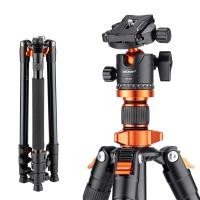 ราคา K F Concept Lightweight Tripod 1 63m 8kg for DSLR K234A0 BH 28L ขาตั้งกล้อง (20384994821)