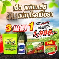 ราคา เช็ตแก้ดินเสีย ดินแน่น แก้เชื้อรา โรคพืช ใบจุด ใบด่าง รากเน่า โคนเน่า ปรับปรุงดิน เติมอาหารพืช (19182799475)