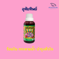 ราคา น้ำยาอุทัย อุทัยทิพย์ ร้อนใน กระหายน้ำ (21192996438)