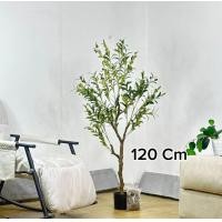 ราคา ต้นมะกอก โอลีฟ พร้อมกระถางดำ ต้นไม้ปลอมแต่งบ้าน ต้นไม้มงคล ต้นไม้แต่งคาเฟ่ ต้นไม้ยอดฮิต บ้านและสวน พร้อมส่ง Plant L GLS (20776225103)