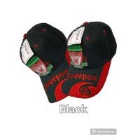 ราคา หมวกแฟชั่น หมวกลายลิเวอร์พูล หมวกแก็ป งานแฟชั่น หมวกกีฬา หมวกปีกโค้ง พร้อมส่งทุกสี ลายสวย งานปักเย็บ งานละเอียด พร้อมส่ง (11703159332)