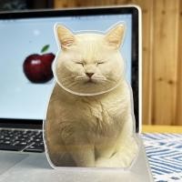 ราคา bingbin น้องแมวส่ายหัว แมวหน้าสั่น โมเดลน้องแมวส่ายหัวดุ๊กดิ๊ก สําหรับตกแต่งรถยนต์ (20953925021)