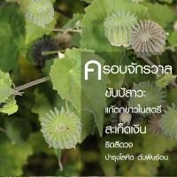 ราคา ครอบจักรวาลแห้ง ครอบสีฟัน 100g แก้ริดสีดวงทวาร บำรุงกำลัง แก้ระดูขาวในสตรี (20267078774)