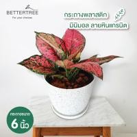 ราคา กระถางพลาสติก ลายหินแกรนิต พร้อมจานรอง 6 นิ้ว กระถางต้นไม้ กระถางพลาสติก plant pot (20405386951)