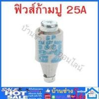 ราคา ฟิวส์ก้ามปู ฟิวส์คัทเอาท์ ฟิวส์สะพานไฟ ฟิวส์กระเบื้อง ลูกฟิวส์กระเบื้อง ฟิวส์กระปุก คาร์ทริดจ์ฟิวส์ (11675429670)
