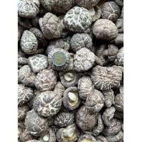 ราคา เห็ดหอม AAA5 200 กรัม เห็ดหอมลาย ดอกหนา (19665627642)