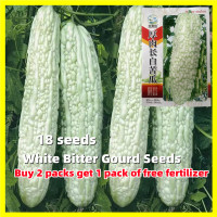 ราคา เมล็ดมะระขาว Long White Bitter Gourd Seeds เมล็ดพันธุ์มะระจีนขาว งอกง่าย 18เมล็ด ซอง เมล็ดพันธุ์มะระ คุณภาพดี ราคาถูก ของแท้ 100 Balsam Pear Vegetable Seeds เมล็ดพันธุ์มะระจีน เมล็ดผักต่างๆ เมล็ดพันธุ