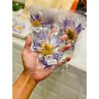 ราคา ดอกบัวแห้ง สายพันธุ์ มิเครนท่า ฟ้า size XL ดอกแห้งน้ำหนัก 1 กรัม Dried Nymphaea Micrantha blue XXL ใช้ชงชา ยา (21157790486)