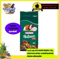 ราคา Versele Laga CAVIA NATURE ORIGINAL 750g คาเวียร์ เนเจอร์ ออริจินอล อาหารแก๊สบี้ สูตรต้นตำรับ เพิ่มผักสด ผลไม้และสมุนไพร (19810063052)