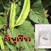 ราคา เมล็ดถั่วพูเขียว ถั่วพู ซื้อ 10 แถม 1 คละอย่างได้ (6110778619)