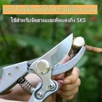 ราคา ญี่ปุ่นนำเข้าเครื่องมือตัดแต่งกิ่งไม้ผลไม้กรรไกรตัดแต่งกิ่งไม้ SK5 เครื่องมือทำสวนกรรไกรตัดแต่งกิ่งเครื่องตัดแต่งกิ่งเครื่องตัดกิ่งกรรไกรเครื่องมือในครัวเรือน (9653559093)
