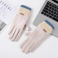 ราคา Fashion Winter Womens Wool Gloves Touchscreens Keep Warm Autumn Windproof Female Cashmere Mittens for Driving Riding (20817058893)