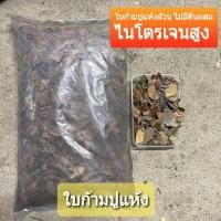 ราคา ใบก้ามปูแห้ง ไม่มีดินผสม ถุงใหญ่ หนัก 1 กิโลกรัมขนาด 45x30 cm สำหรับเพาะปลูก ช่วยเร่งสีบอน มี ไนโตรเจนสูง เป็นปุ๋ยชีวภาพ (14163607044)