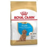 ราคา Royal Canin Poodle Puppy โรยัล คานิน อาหารสำหรับลูกสุนัข พันธุ์พุดเดิ้ล อายุต่ำกว่า 10 เดือน ขนาด 1 5 kg (15341086890)