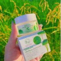 ราคา เซรั่มใบบัวบก ของแท้ prontina 1กระปุก 30g เซรั่ม ใบบัวบก พรทิน่า เซรั่ม ใบบัวบก เซรั่มพรทิน่า (16049208251)