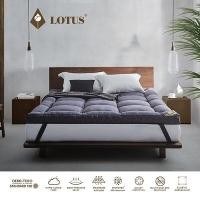 ราคา Lotus ที่นอนนาโน คลาวไฟเบอร์ AYAME CLOUD TOPPER ขนาด 6 ฟุต หนา 4 นิ้ว (17310511326)