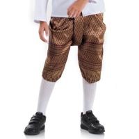 ราคา โจงกระเบนผ้าไหม โจงกระเบน โจง โจงกระเบนเด็กชาย โจงกระเบนเด็ก โจงกระเบนเด็กหญิง โจงกระเบนผ้าไทย (759652777)