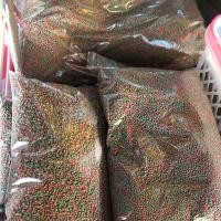 ราคา อาหารปลาหางนกยูง ปลาสีจิ๋ว ปลาสวยงาม ปลาสอด (21276016302)