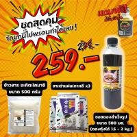 ราคา เซตทำเมนู ดองซีอิ๊ว By KYODAi Kimuchi แถมฟรี น้ำจิ้มซีฟู้ด ครบเครื่อง พร้อมดอง ซอสดองซีอิ๊ว เคียวได 500 ml สาหร่ายเกาหลี ข้าวญี่ปุ่น (15815211969)