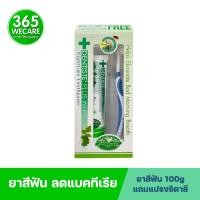 ราคา DENTISTE หลอดเขียว 100 กรัม แถมแปรงสีฟัน ลดการสะสมของเชื้อแบคทีเรียในช่องปาก 365wecare (14152285975)