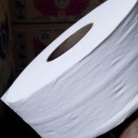 ราคา กระดาษชำระม้วนใหญ่ชำระ พีพลัส Save Nice 2 ชั้น ยาว 300 เมตร อัดลาย เนื้อกระดาษบริสุทธิ์ 1ม้วน (20909907016)