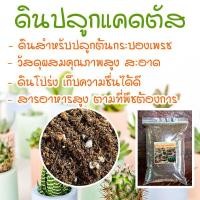 ราคา ดินแคคตัส ดินปลูก กระบองเพรช ไม้ด่าง ไม้ฟอกอากาศ เพาะเมล็ด กระบองเพชร ดินปลูกไม้อวบน้ำ cactus สมุนไพร (14935629530)
