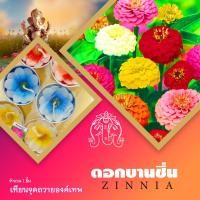 ราคา เทียนหอม ชุดเครื่องสักการะ เทียนดอกไม้ กลิ่นดอกไม้ เทียนทีไลท์ จุดถวายเทพ หน้าหิ้งบูชา พระพิฆเนศ พระศิวะ พระแม่อุมา พระแม่ลักษมี (17309918714)