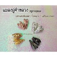 ราคา ของแท้ 100 จัดส่งไว แมลงภู่คำ ครูบากฤษณะ อินทวัณโณ ตัวจิ๋ว (18542845035)