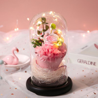 ราคา Seangel Rose Night Light วันวาเลนไทน์ของขวัญสร้างสรรค์ Eternal Rose Light เอกวาดอร์ Rose Immortal ดอกไม้ Forever Love งานแต่งงาน Decor Lover กุหลาบของขวัญคริสต์มาสของขวัญ成人拼图 (16941846533)