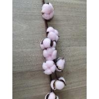 ราคา ดอกฝ้าย cotton ดอกฝ้ายธรรมชาติ (17965877073)