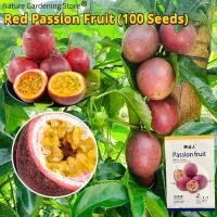 ราคา เมล็ดพันธุ์ เสาวรสสีแดง เมล็ดเสาวรสหวานสีม่วง บรรจุ 100 เมล็ด Red Passion Fruit Seeds for Planting เมล็ดเสาวรส F1 เมล็ดพันธุ์แท้ OP เมล็ดผลไม้ ผลไม้อินทรีย์ Climbing Plants ต้นไม้ผลกินได้ ต้นไม้กินผล 