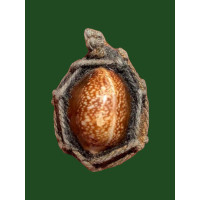 ราคา เบี้ยแก้ หลวงพ่อกลั่น วัดเขาอ้อ ปี ๒๕๔๖ สวย เก่า 3558 (17884060794)