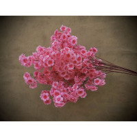 ราคา OKADI ช่อซากุระปลอม ช่อดอกซากุระ กิ่งก้านดอกซากุระเทียม ช่อดอกซากุระ ช่อซากุระประดิษฐ์ ตกแต่งงานแต่งงาน ตกแต่งบ้าน (20742438704)