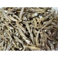 ราคา ปลากะตัก ปลาแห้ง กับข้าว ปลาทอด ข้าวต้ม ปลาภูเก็ต (20682454234)