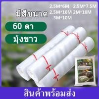 ราคา ตาข่ายป้องกันแมลงสีขาวตาข่ายผักตาข่ายไนล่อนสีขาวตาข่าย 5m 60m ยาวกว้าง 2m 3m 60mesh ความหนาดี Grade A (19494497281)