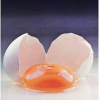 ราคา ไข่เค็มดิบbyแววแวว (21300354761)