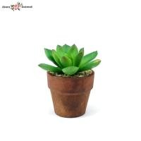 ราคา แคคตัสจิ๋วพร้อมกระถาง กระถางต้นไม้ปลอมจิ๋ว Artificial cactus with pot (4251970865)