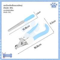 ราคา กรรไกรตัดเล็บสัตว์ พร้อมตะไบ กรรไกรตัดเล็บแมว ที่ตัดเล็บแมว กรรไกรตัดเล็บ พร้อมส่ง มีชำระเงินปลายทาง (20976262388)