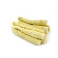 ราคา หน่อไม้ต้ม หน่อไม้เหลืองต้มทั้งหน่อ 1 กก แพ็ค รหัสสินค้า 17098 (20530713666)