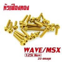 ราคา น็อตเลสชุดแคร้ง เอ็มเอสเอ็ก น็อตชุดแคร้งเครื่อง สแตนเลส สีทอง รุ่น MSX 125 MSX SF 23 ตัวครบชุด น็อตเลสแท้ง MSX อะไหล่แต่ง MSX น็อตเลสแต่ง (16827875244)