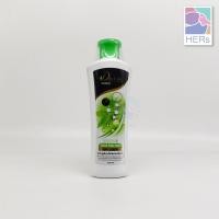 ราคา Day Care Thong Phan Chang Shampoo Treatment แชมพู และ ทรีทเม้นท์สมุนไพรทองพันชั่ง เดย์ แคร์ 320 มล (8667812238)