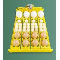 ราคา 104นกกระทาเครื่องฟักไข่ไก่เทอร์เนอร์ถาดเปิดไข่อัตโนมัติอุปกรณ์ฟักไข่ไก่เป็ดและตู้อบสัตว์ปีกอื่นๆ (21170340245)