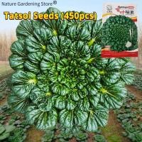 ราคา เมล็ดพันธุ์ กวางตุ้งญี่ปุ่น แทตฉ่อย บรรจุ 450เมล็ด Tatsoi Seed Organic Vegetable Seeds for Planting เมล็ดพันธุ์แท้OP แท้ เมล็ดทัตซอย เมล็ดพันธุ์ผัก ผักสวนครัว บอนไซ ผักออร์แกนิก พันธุ์ผัก เมล็ดผัก เมล