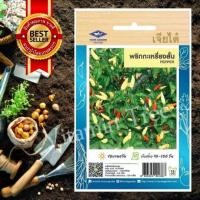 ราคา เมล็ดพันธุ์ พริกกะเหรี่ยงสั้น Chilli Seed 0 5 กรัม 120 เมล็ด เจียไต๋ เมล็ด ต้นไม้ เมล็ดผัก ผัก ผักสวนครัว เมล็ดพันธุ์พืช (10038760169)