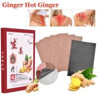 ราคา PASTSKY Ginger Patch Ginger Hot Ginger Patch Detox Foot Body Neck Knee Pain Relief Adhesive Patches Extractn to Promote Blood Circulation Relieve Pain (21350637451)